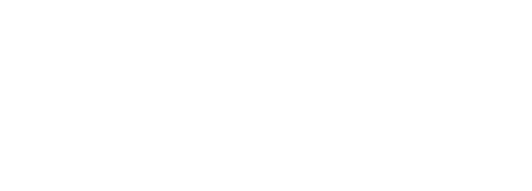 Bridgecare Project